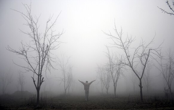 थंडीची लाट...सकाळ आणि धुके. अमृतसरमधील हे छायाचित्र