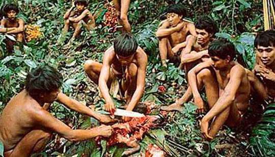अॅमेझॉन जंगलातील आदिवासींचे अंत्यविधीव्हेनेझूएला आणि ब्राझीलच्या मध्यात असलेले अॅमेझॉनचे जंगल हे जगातील मोठ्या जंगलांच्या यादीत पहिल्या क्रमांकावर आहे. येथे राहणारी आदिवासी जमातीची अंत्यविधी ही फारच विचित्र आहे. ही लोकं घरातील कुठल्याही व्यक्तीच्या मृत्यूनंतर त्याचे शव हे पानांमध्ये गुंडाळून त्याला किड्यांना खाण्यासाठी सोडून देतात. यानंतर ३० ते ४५ दिवसांच्या कालावधीनंतर त्या शवाचे उरलेले अवशेष आणि हाडं हे केळ्याच्या सूपमध्ये टाकून खाऊन टाकतात.आदिवासींच्या मते असं केल्याने, मेलेल्या व्यक्तीला स्वर्ग प्राप्ती होते.