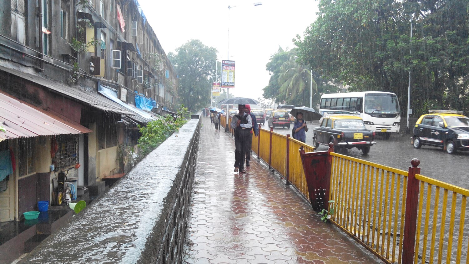 पावसामुळे मुंबईच्या वातावरणात सर्वत्र गारवा निर्माण झाला आहे