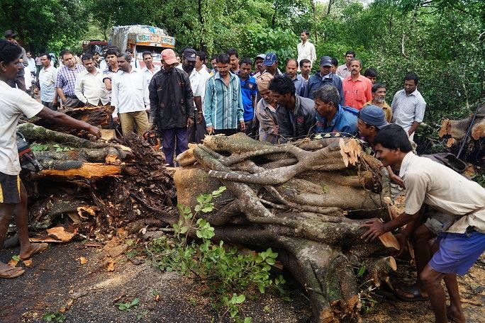  नाणीज येथे शाळेजवळ रस्त्यावर झाड कोसळले. त्यामुळे वाहतूक ठप्प होती.