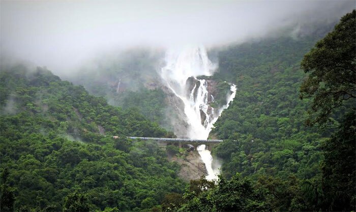 हा आहे दूधसागर धबधबा... पाहा हे रम्य रूप... (फोटो- चांदणी निहलानी कुमार)

 
