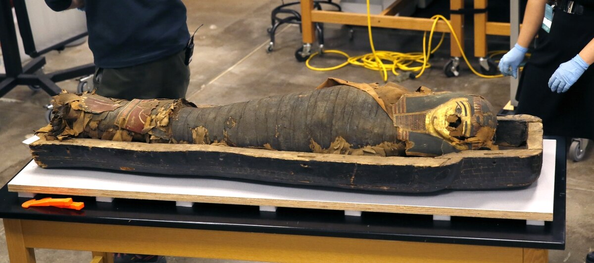 Miniradisa नावाच्या 14 वर्षीय मुलाची अडीच हजार वर्षांपूर्वींची ममी शिकागो वस्तुसंग्रहालयात उघडण्यात आलीय. 
