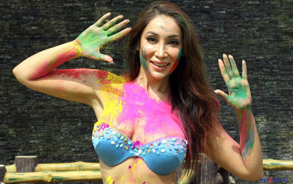 सोफिया हयातनं अशी साजरी केली होळी! @sofiahayat -twitter
