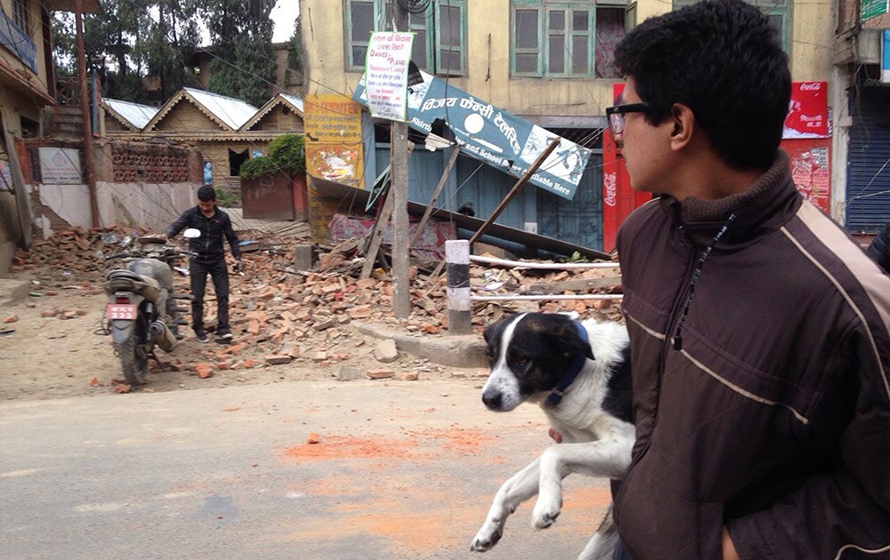 नेपाळ आज ७.९ रिश्टर स्केलच्या भूकंपाने हादरला काठमांडू येथे आपल्या कुत्र्याला घेऊन जाताना एक नागरिक
