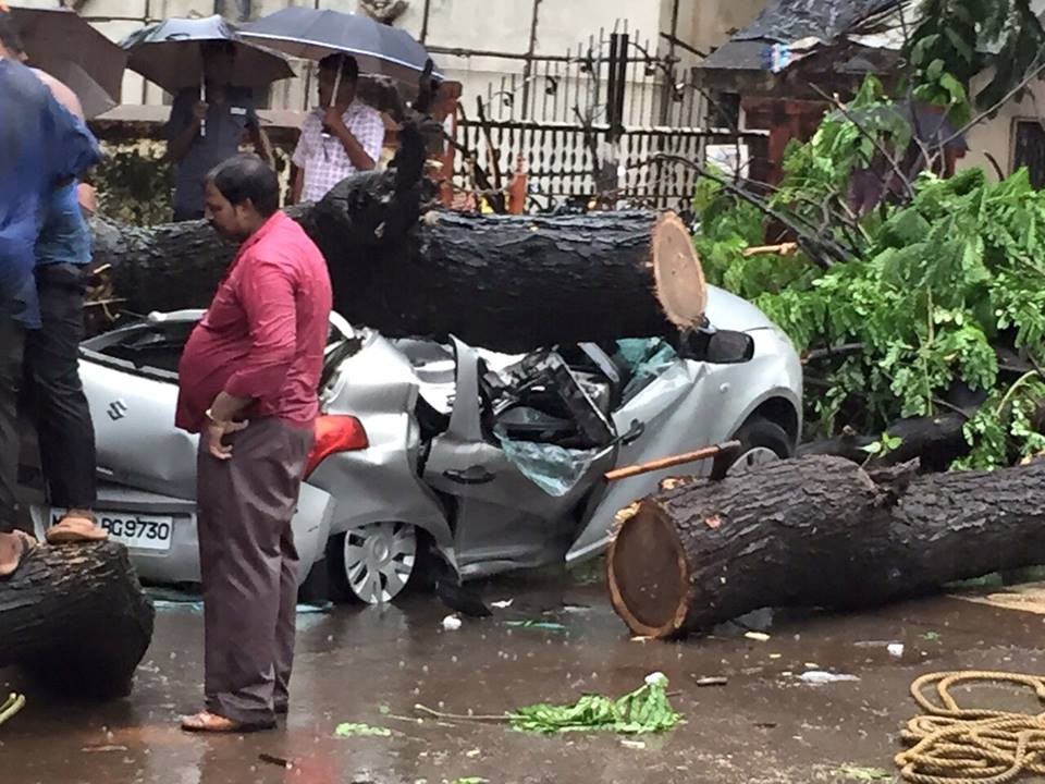 मुंबईत जोरदार पाऊस पडल्याने मुंबईची दैना उडाली. जवळपास ७६ वृक्ष कोसळलेत.
