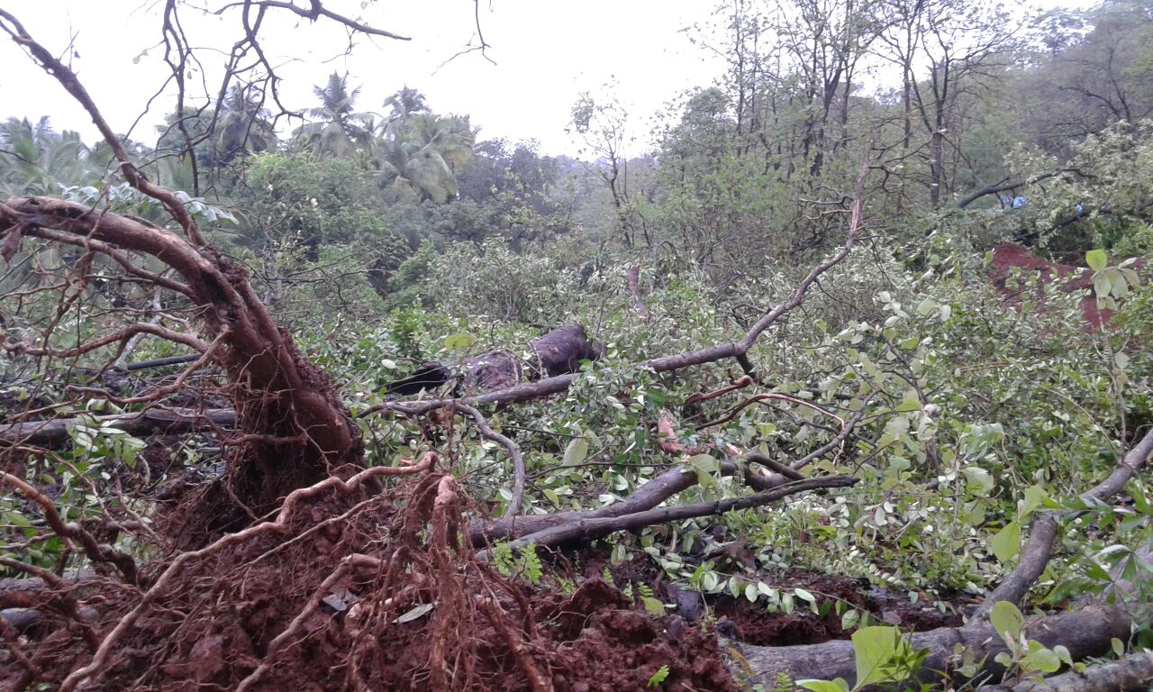 दापोलीतील टेमकरवाडीत तीन घरांवर दरड कोसळली
