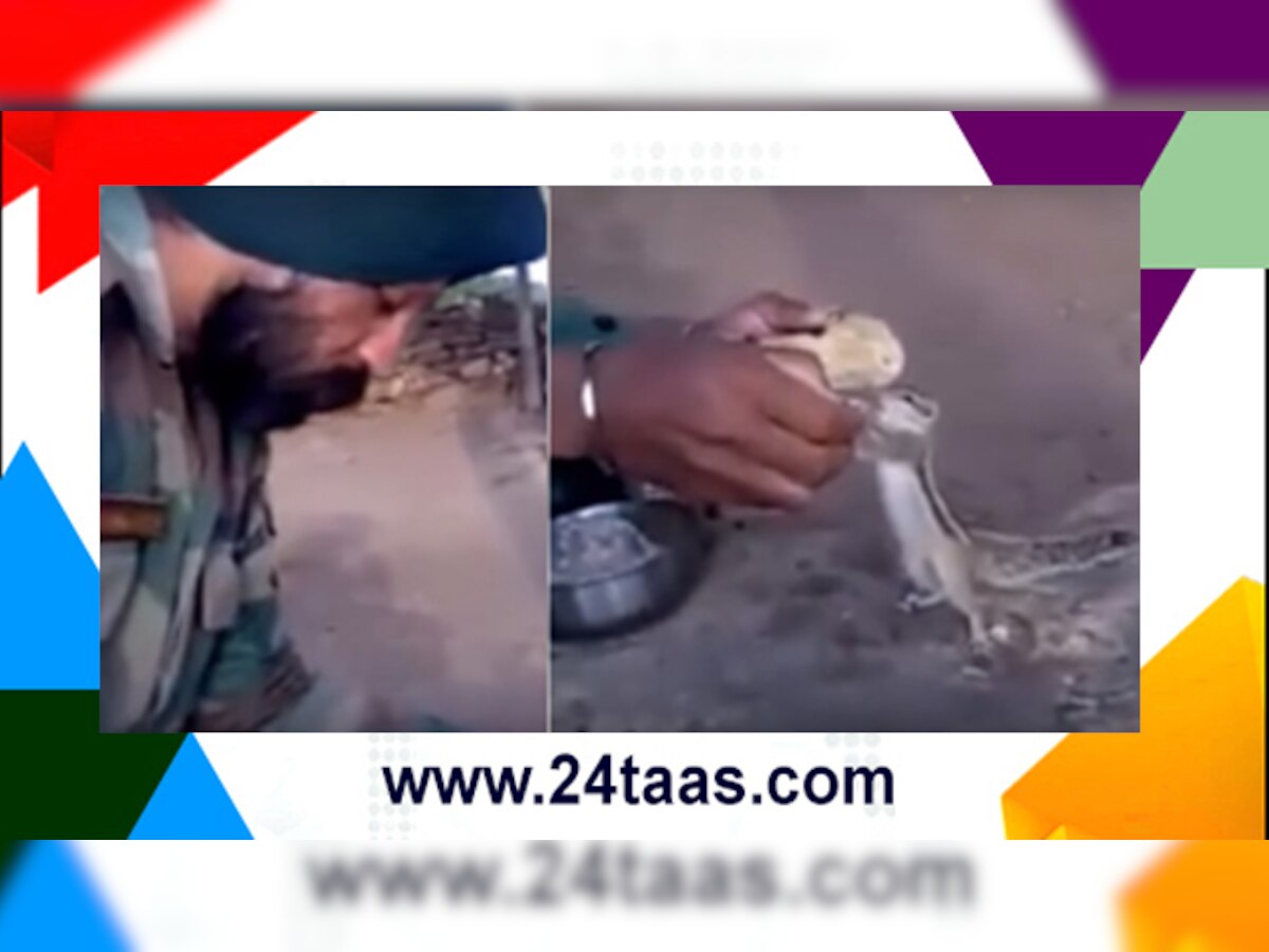  पाहा व्हिडिओ : भारतीय सैनिकाने आपलं जेवण खारूताईसोबत शेअर केलं. title=