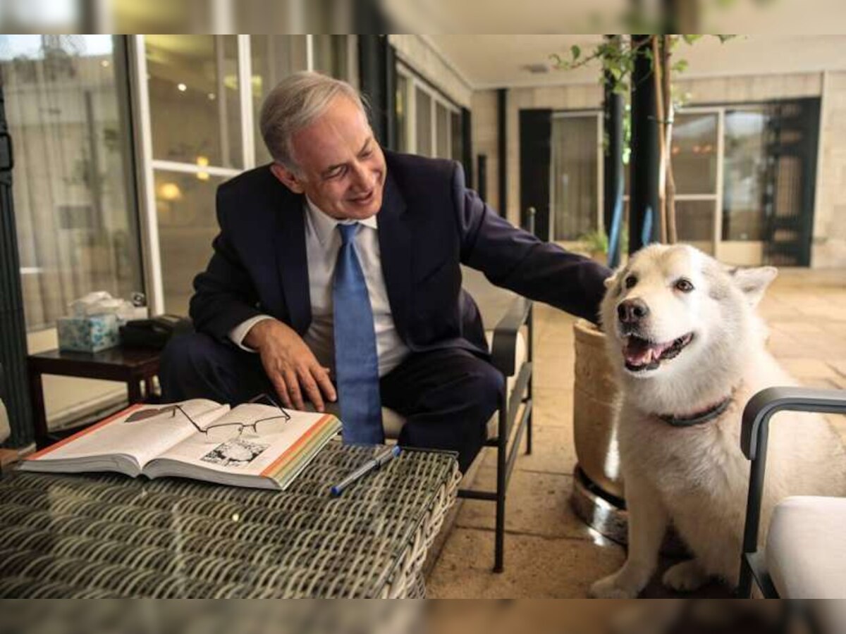 इस्त्रायलच्या पंतप्रधानांच्या कुत्र्याला अटक title=