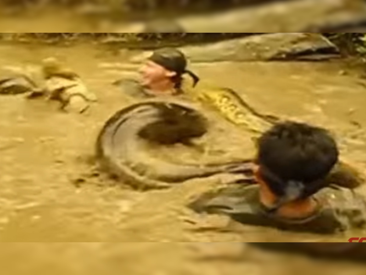 VIDEO : कॅमेऱ्यात कैद झालेला सापांचा चावा! title=