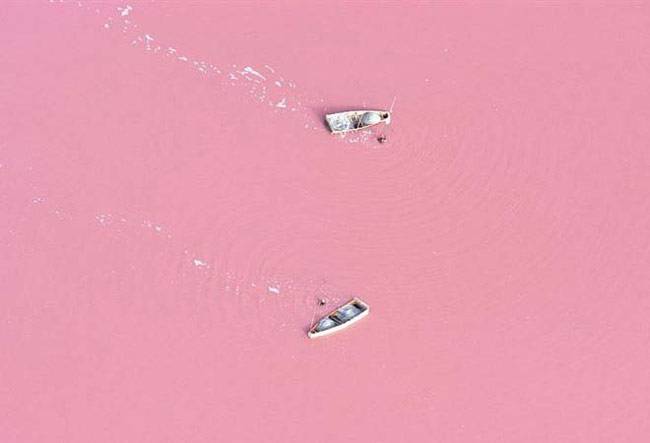 हे कोण्या चित्रकाराने काढलेले चित्र नाही. तर हा आहे सेनेगल देशातील एक तलाव. पाण्यात मिठाचे प्रमाण वाढल्याने पाण्यातील काही प्रकारचे जीवाणू या तलावाच्या पृष्ठभागावर आले. त्यांची वाढ इतकी झाली की पाण्याचा रंग गुलाबी झाला. 

