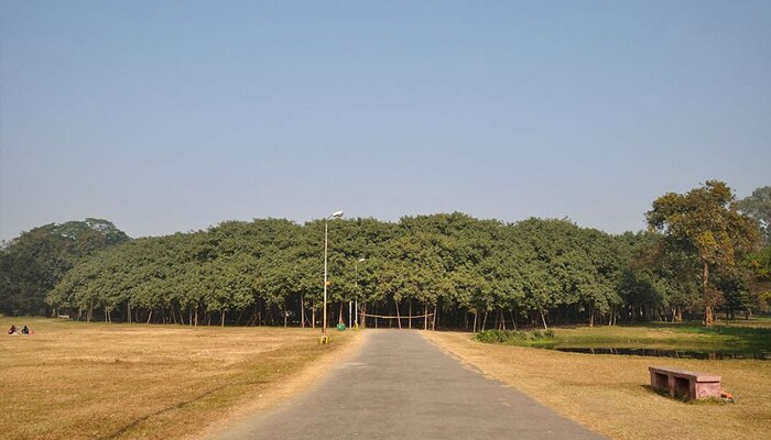 ६. कोलकत्यातील वडाचे झाड
कोलकत्याच्या बोटॅनिकल गार्डनमध्ये असलेले हे वडाचे झाड म्हणजे एक आश्चर्य आहे. हे वडाचे झाड म्हणजे एक जंगलच आहे. ते २०० वर्ष जुने आहे. ते इतके पसरले आहे की त्याचा परीघ जवळपास २ किलोमीटर इतका प्रचंड आहे. 
