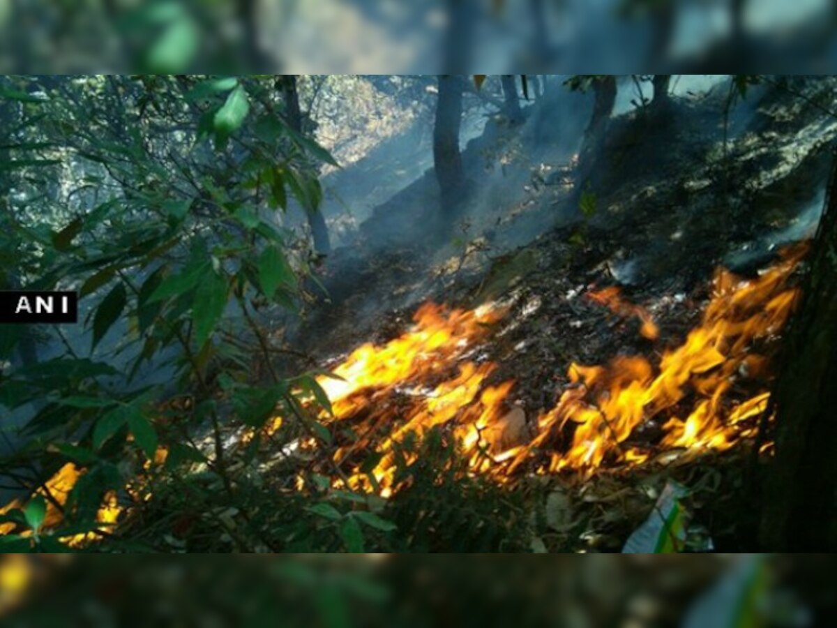 उत्तराखंडच्या जंगलातील आग विझवण्यासाठी हेलिकॉप्टरची मदत title=