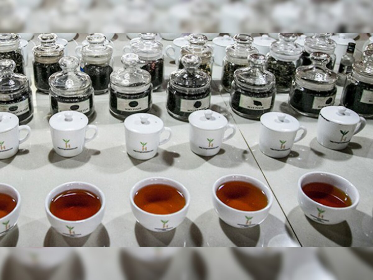 श्रीलंकेत मिळतो जगातील सर्वात महागडा चहा title=
