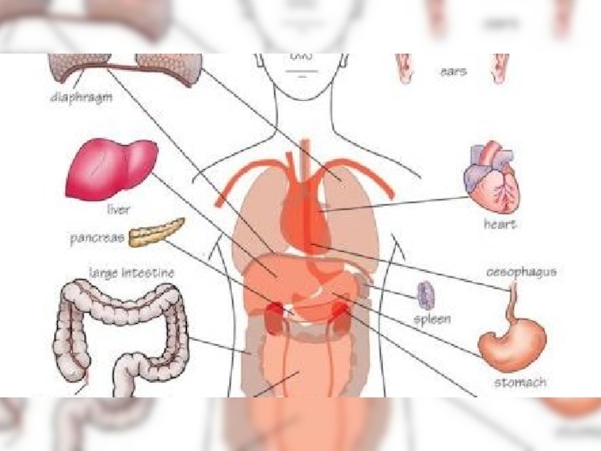 शरीरातील या 7 भागांवर आलेली सूज दुर्लक्षित करू नका title=