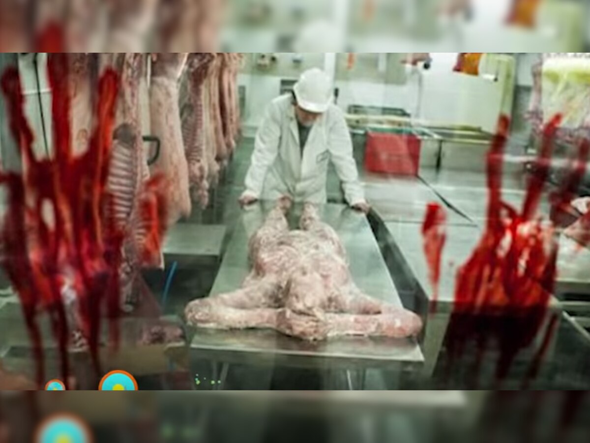 व्हिडिओ : चीन मानवी देहाच्या मांसाची निर्यात करतं? title=
