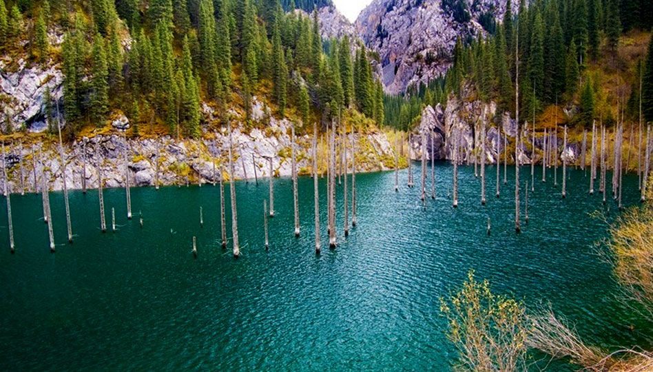 Underwater Forest in Kaindy Lake, Kazakhstan