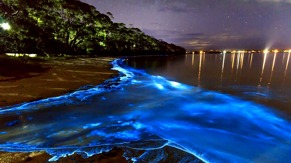 Shimmering Shores of Vaadhoo, Maldives