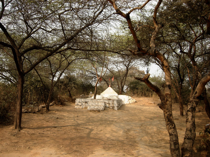 Sanjay Van