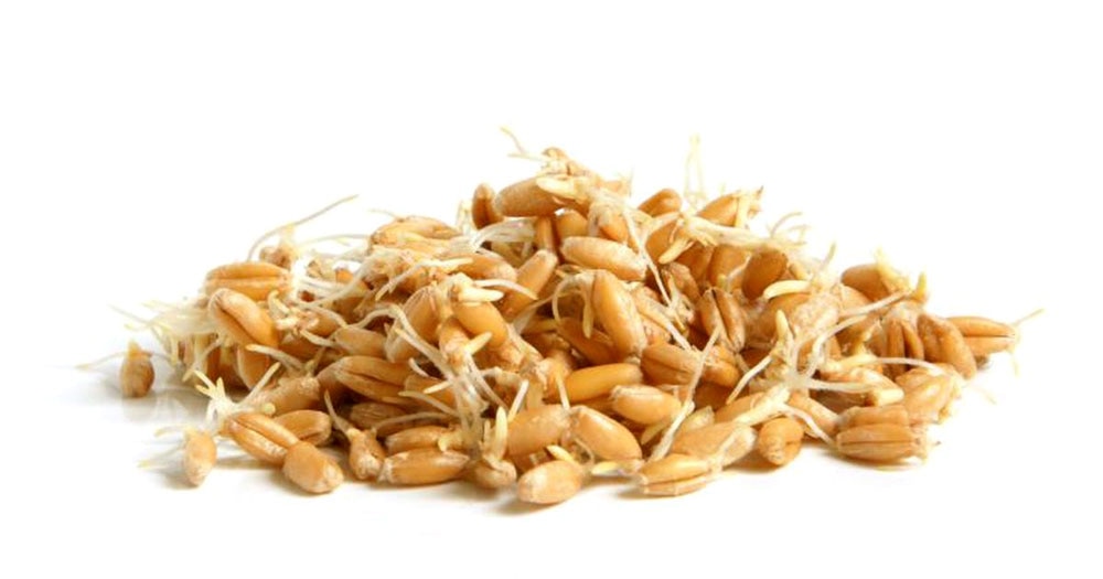 Wheat germ