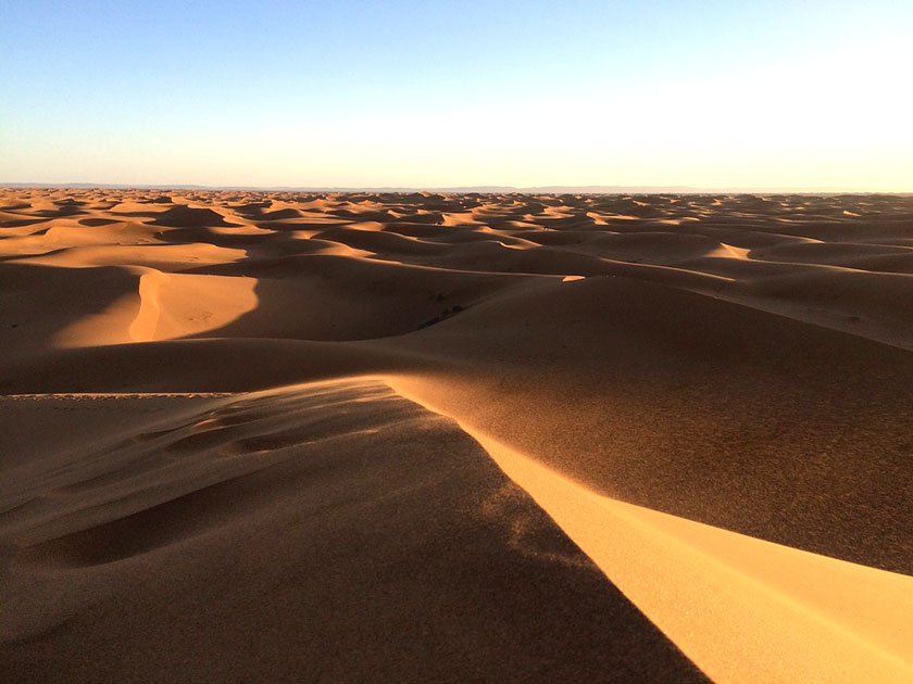 Arabian Desert