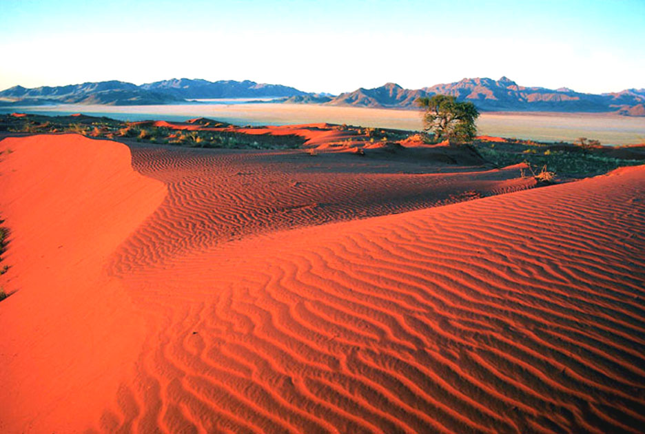 Kalahari Desert