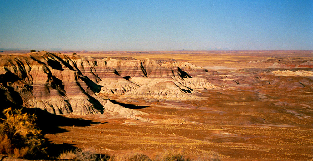 Patagonian Desert