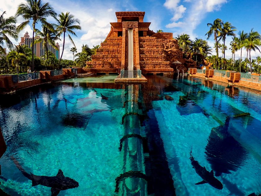 Leap of Faith — Atlantis Paradise Island, Bahamas