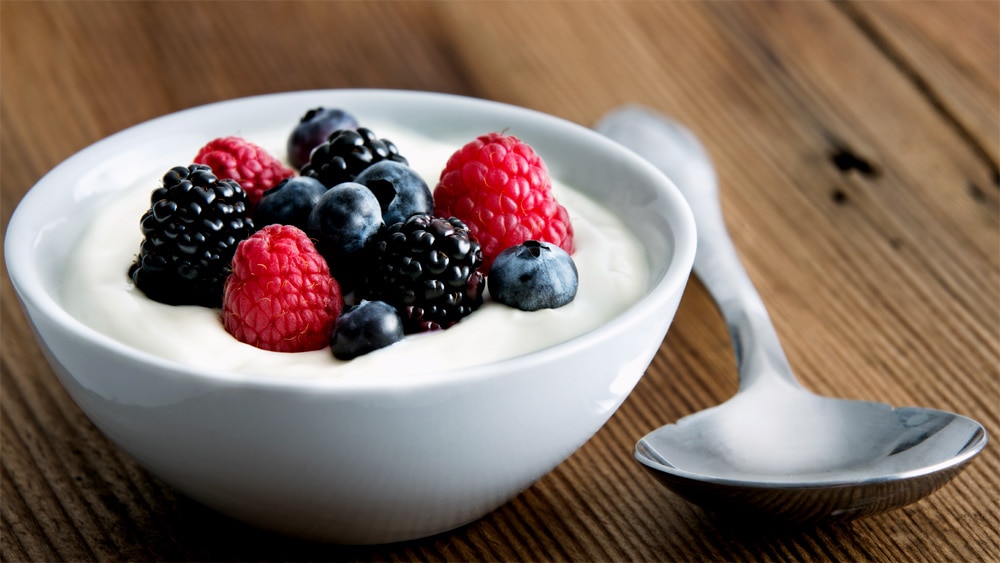 Yogurt