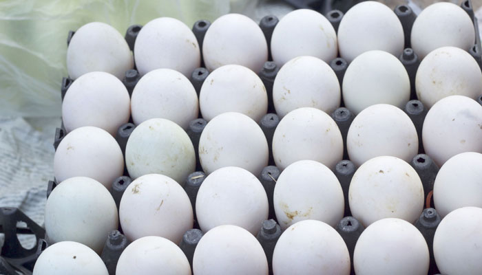प्लास्टिक अंड्यांच्या विक्रीबाबतचे सत्य