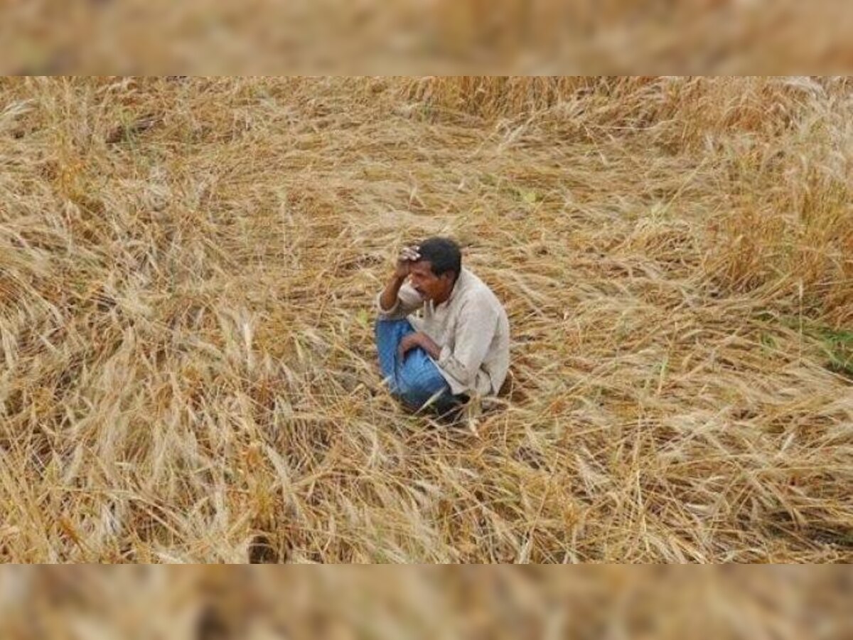 दोन वर्षात २६ टक्के मराठा शेतकऱ्यांची आत्महत्या title=