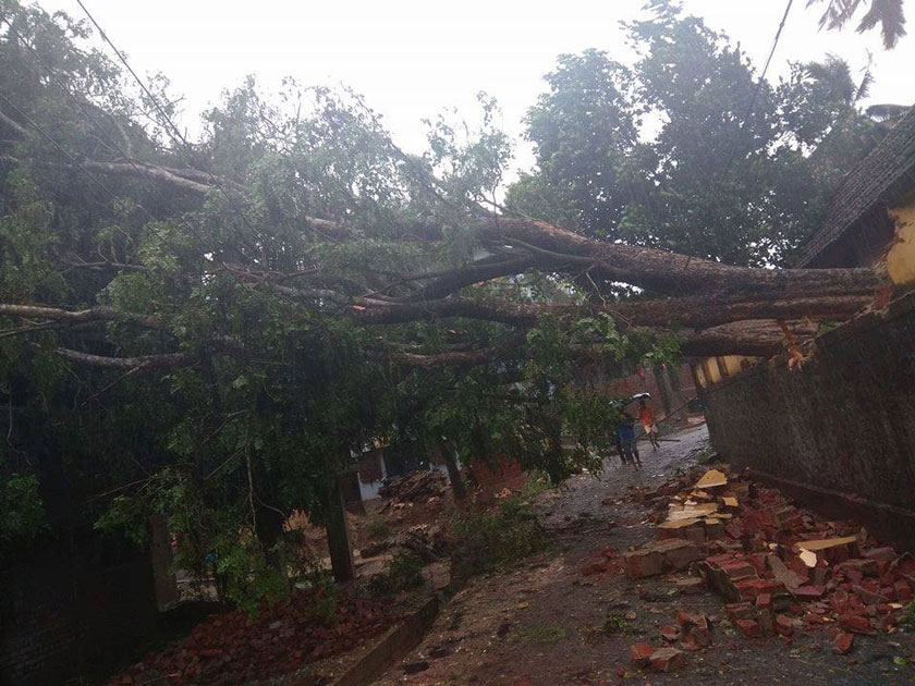 A cyclone alert has been sounded in Kerala and Tamil Nadu on Thursday after strong winds and heavy rain hit southern districts in the states.