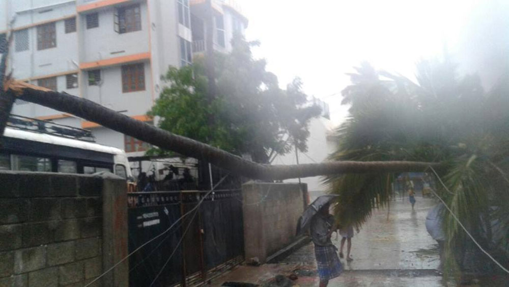 A cyclone alert has been sounded in Kerala and Tamil Nadu on Thursday after strong winds and heavy rain hit southern districts in the states.