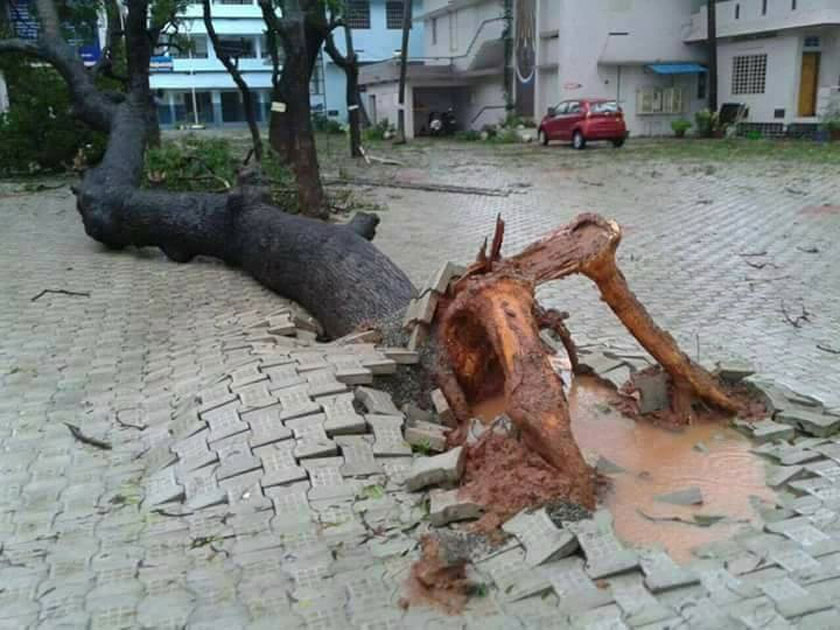 A cyclone alert has been sounded in Kerala and Tamil Nadu on Thursday after strong winds and heavy rain hit southern districts in the states.