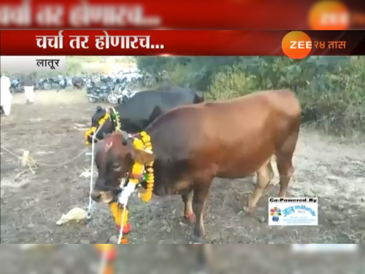 या  शेतकर्‍याने साजरा केला गायीचा पहिला वाढदिवस  title=