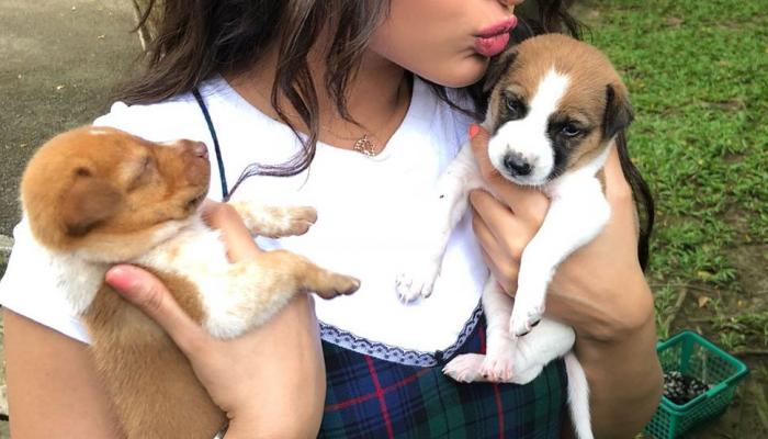 Happy Bhag Jayegi Returns Sonakshi Sinha Play with Puppies on first day of shoot