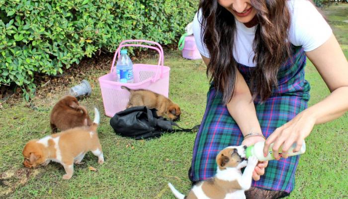 Happy Bhag Jayegi Returns Sonakshi Sinha Play with Puppies on first day of shoot