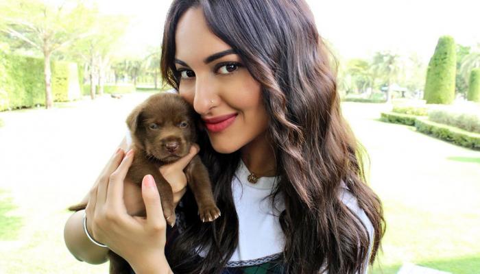 Happy Bhag Jayegi Returns Sonakshi Sinha Play with Puppies on first day of shoot