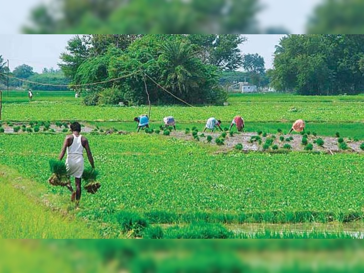 शेतकऱ्यांना घरपोच मिळणार शेती साहित्य title=