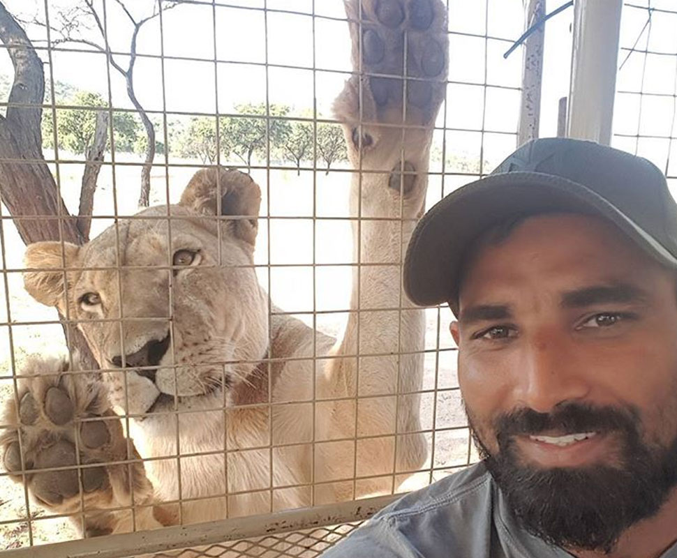 Mohammad Shami with lion