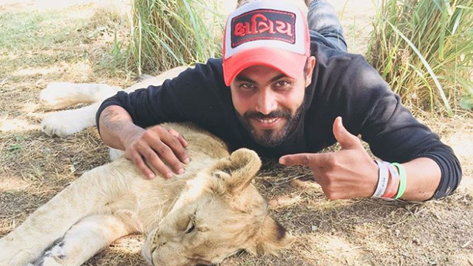 Ravindra Jadeja with lion