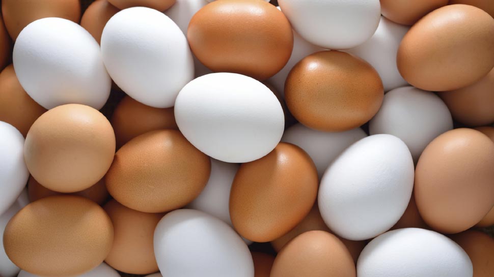 Why you should never keep eggs in fridge