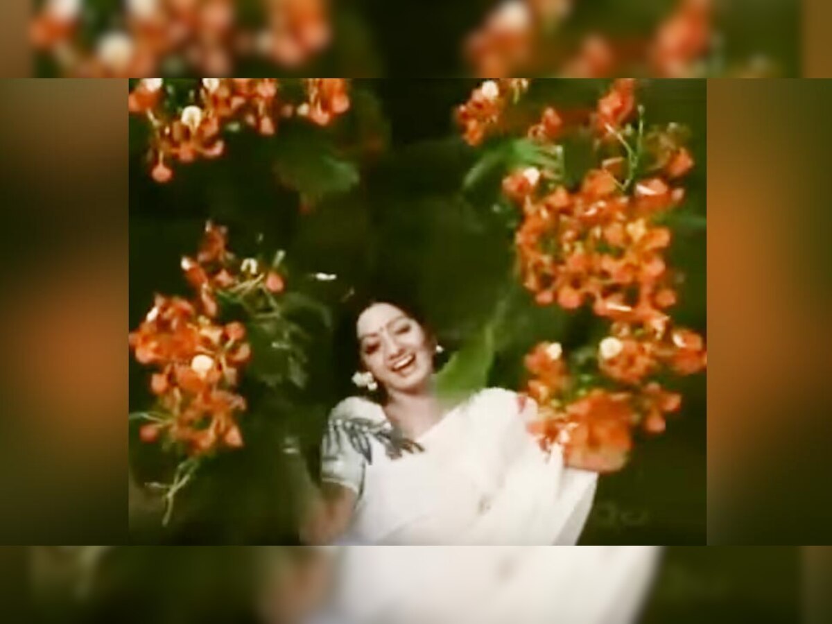 VIDEO: हे होतं श्रीदेवीचं पहिलं हिंदी गाणं, १९७९ मध्ये आला होता सिनेमा title=