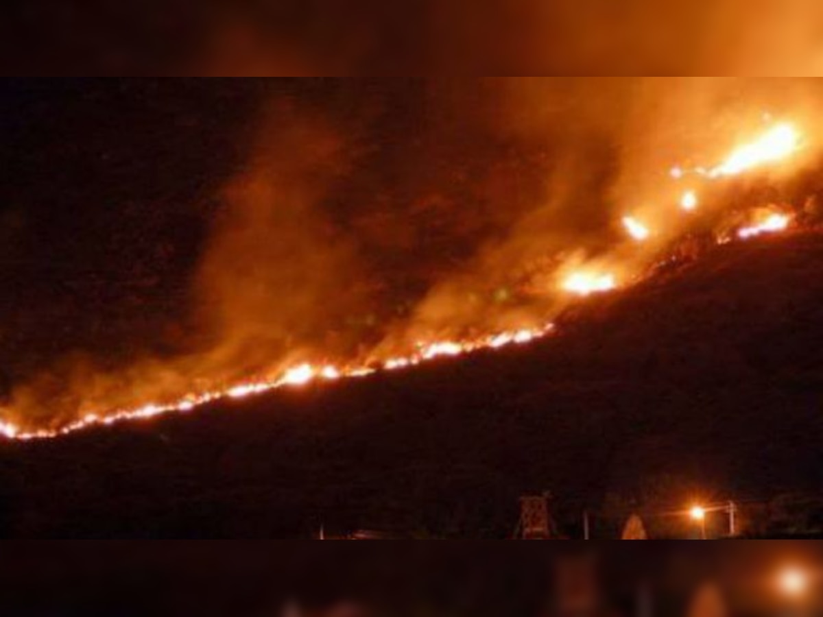तामिळनाडू : कुरांगनी जंगलाला आग, ११ जणांचा होरपळून मृत्यू title=