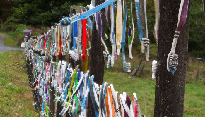 Toothbrush also has fence in this country.