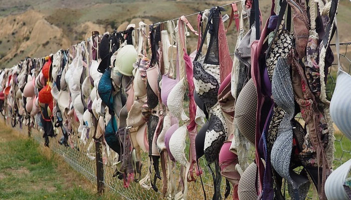 Every day no women hangs their undergarments