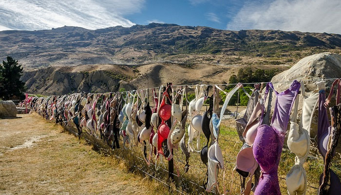 what made the strange fence suddenly? It is said, in 1999