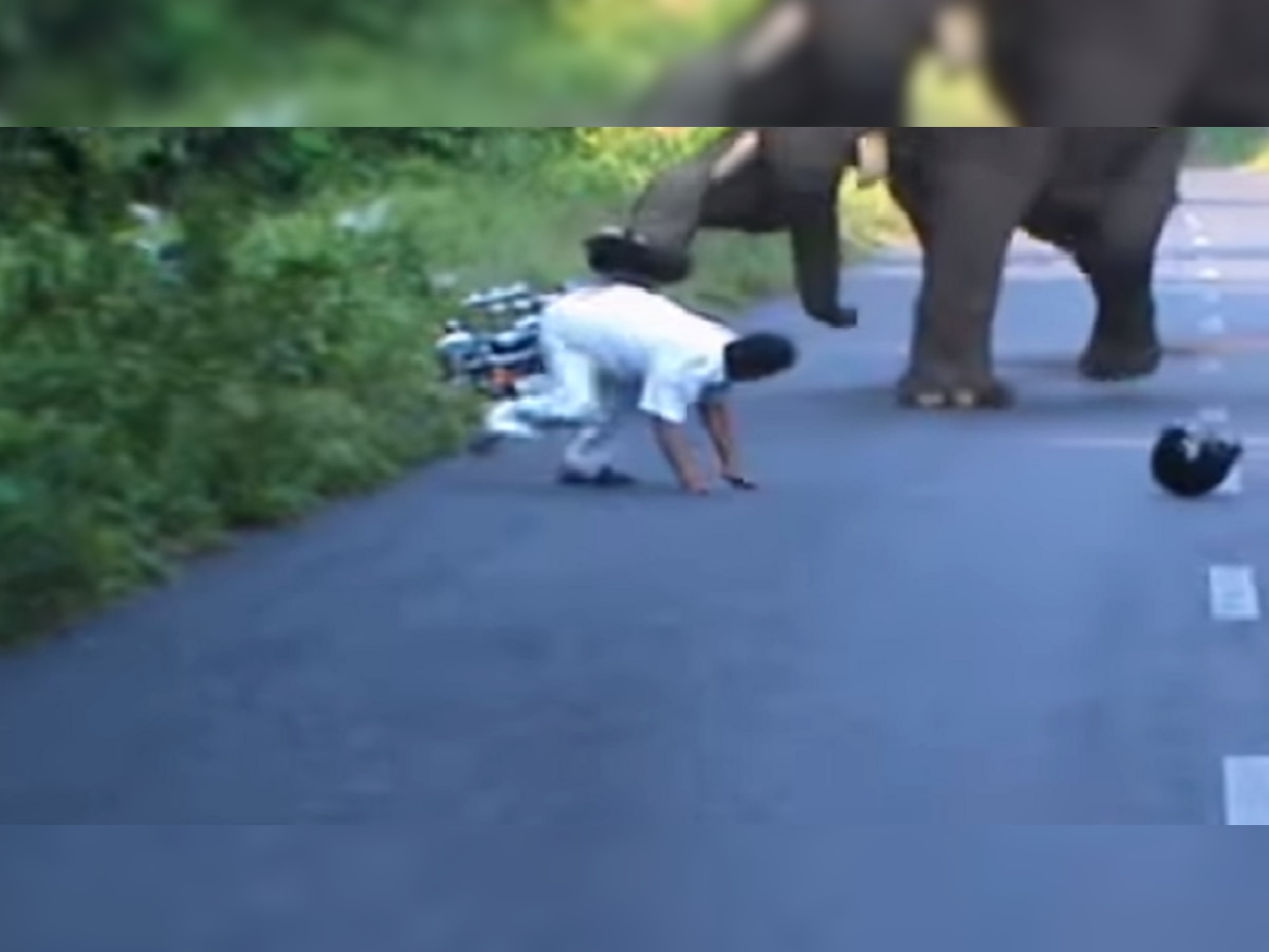 व्हिडिओ: हत्तीने मारली बाईकला किक, दुचाकीस्वाराला दिसला यमराज title=