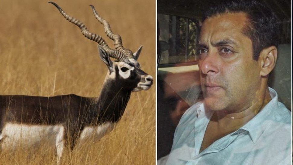 Bishnoi community FIR against Salman Khan in Black Buck Poaching Case