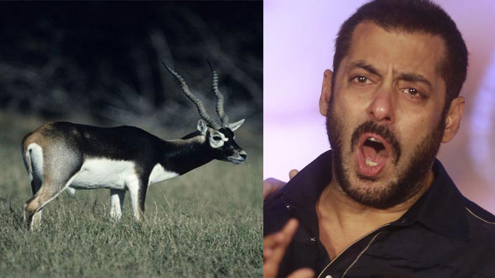 know about Blackbuck a rare antelope species, salman khan convicted