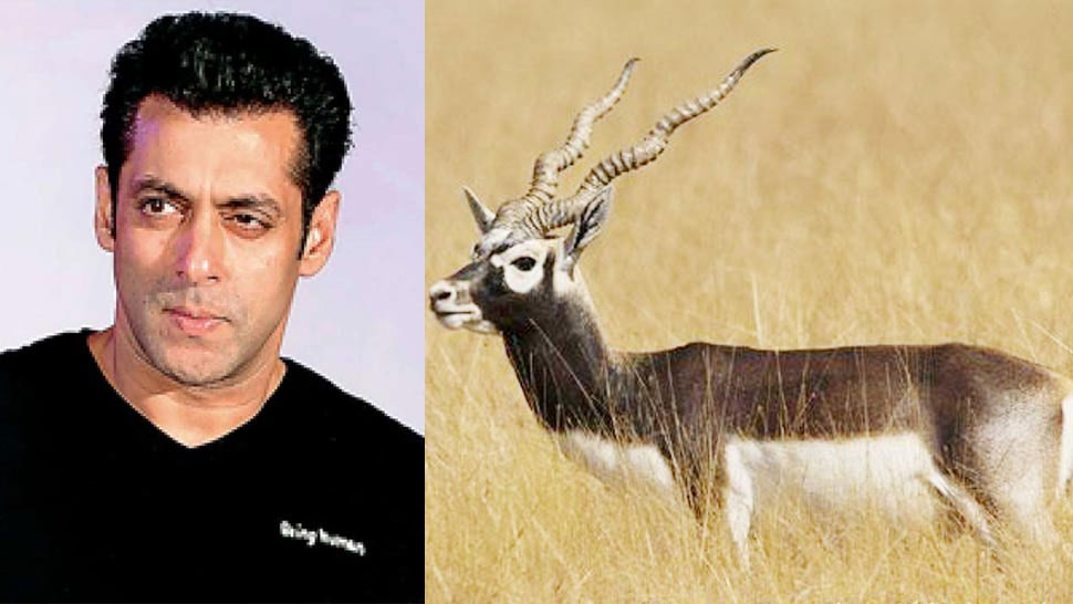 know about Blackbuck a rare antelope species, salman khan convicted